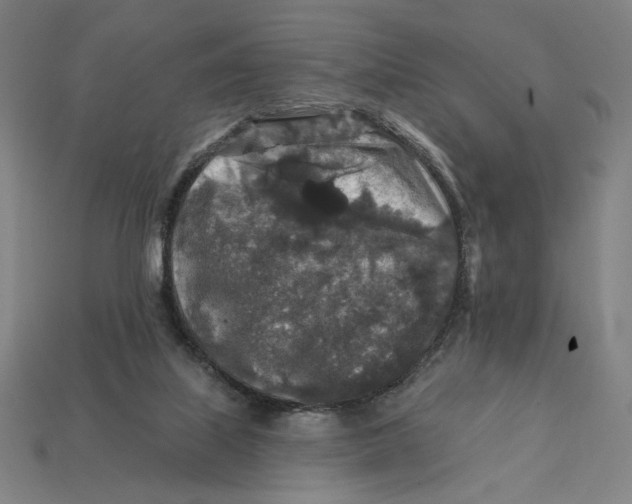 X0000112420067200909111018