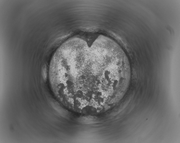 X0000112420069200909111018