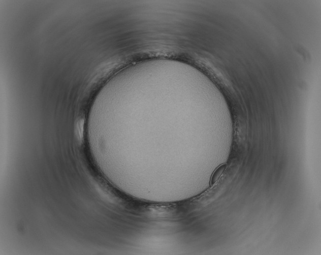 X0000112420070200909111018