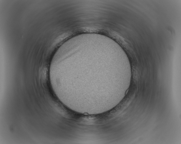 X0000112420071200909111018