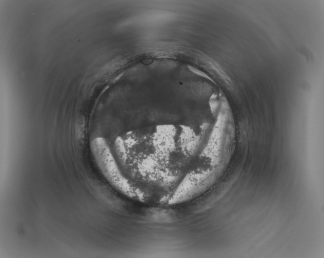 X0000112420073200909111018