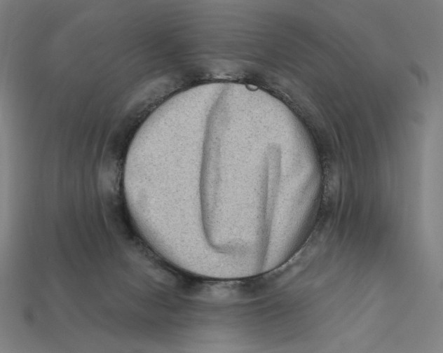 X0000112420078200909111018