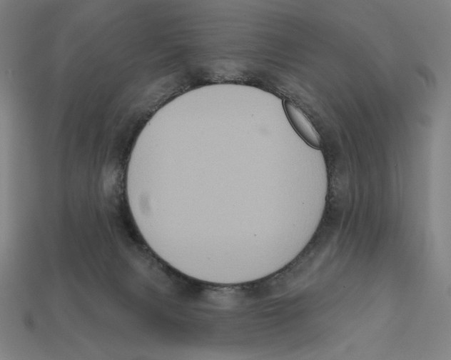 X0000112420079200909111018