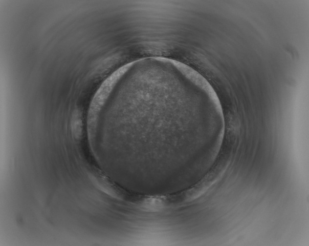 X0000112420080200909111018