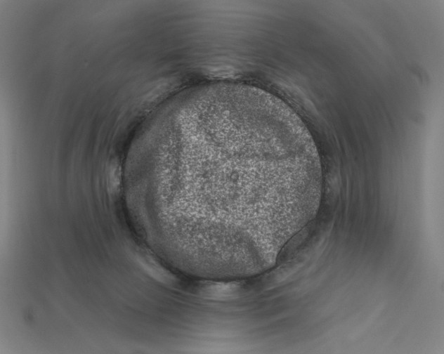 X0000112420081200909111018