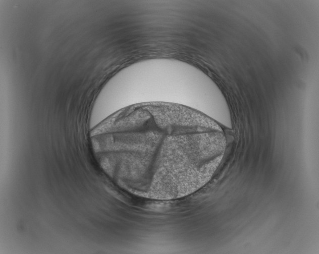 X0000112420084200909111018