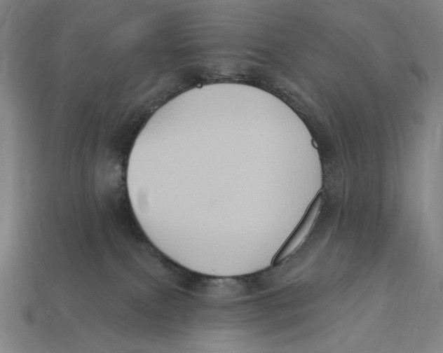 X0000112420087200909111018