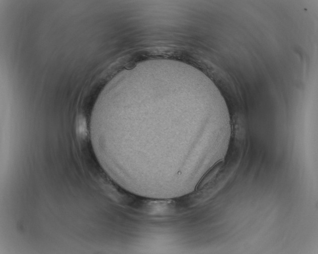 X0000112420089200909111019