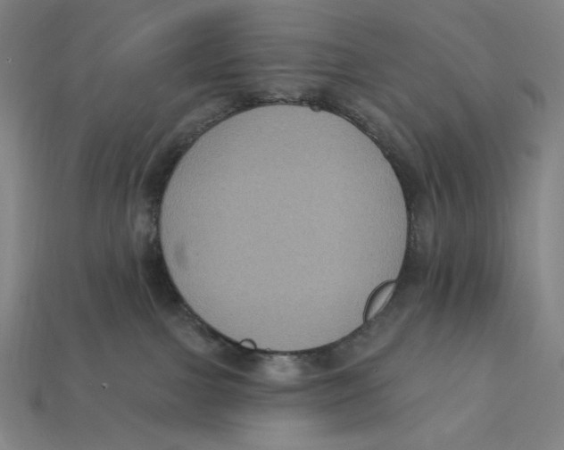 X0000112420091200909111019