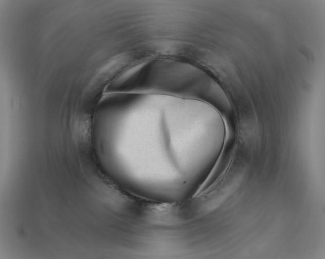 X0000112420092200909111019