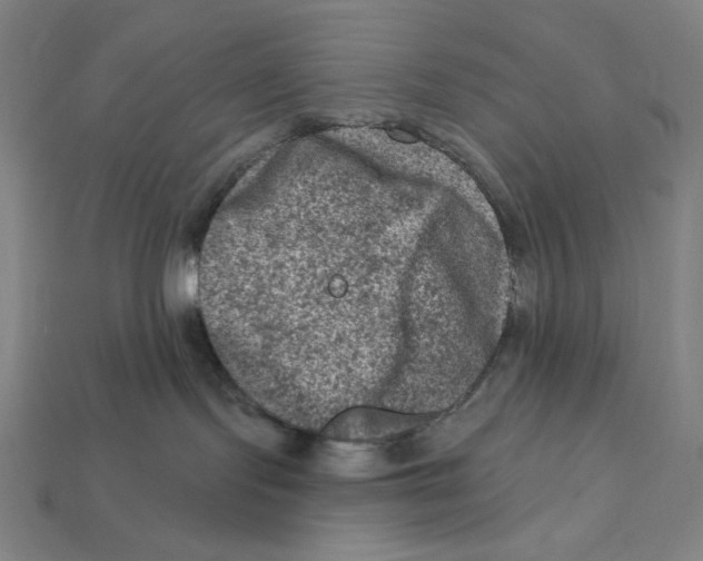 X0000112420095200909111019