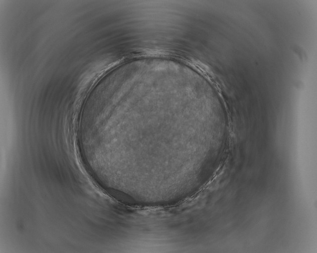 X0000112420097200909111018