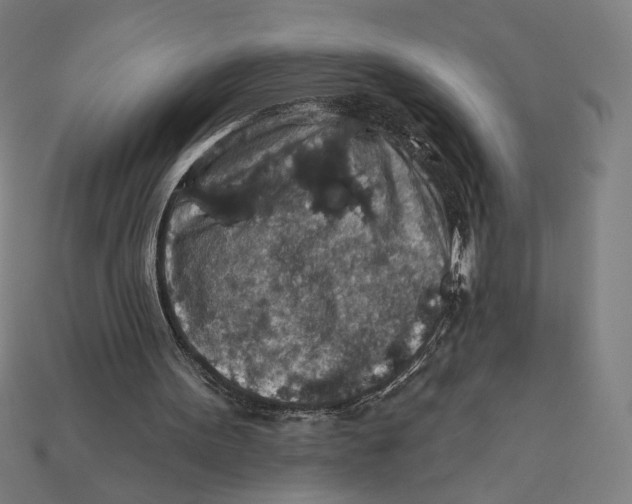 X0000112420099200909111018