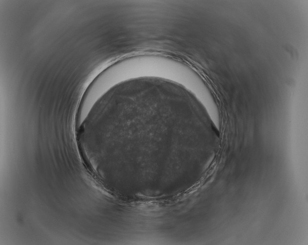 X0000112420100200909111018