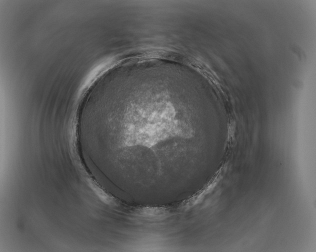 X0000112420101200909111018