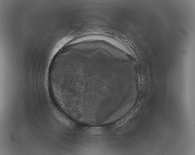 X0000112420104200909111018