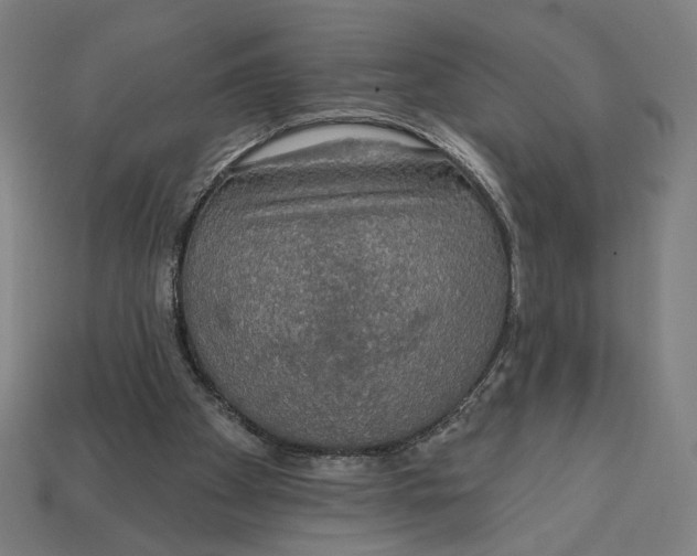 X0000112420105200909111018