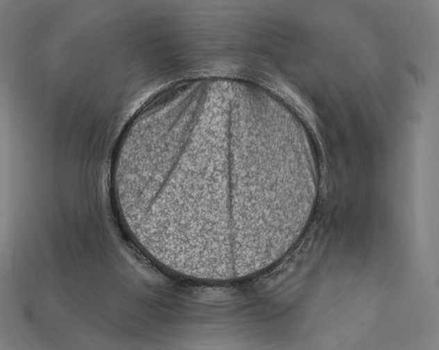 X0000112420107200909111018