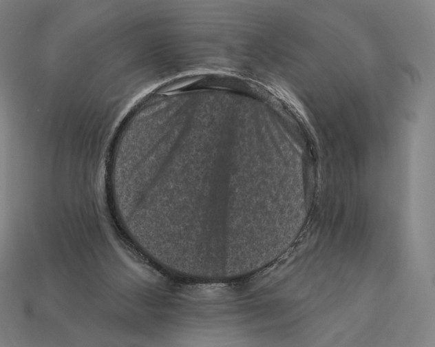 X0000112420108200909111018