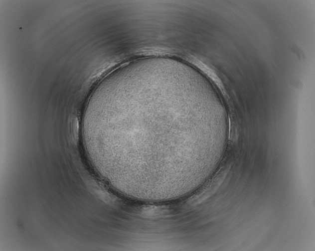 X0000112420109200909111018