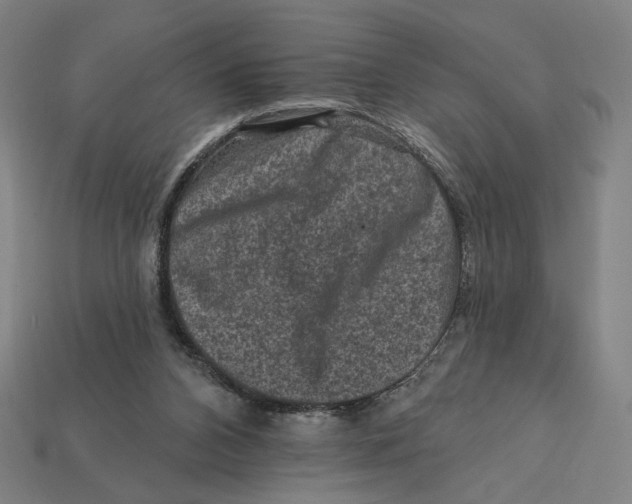 X0000112420112200909111018