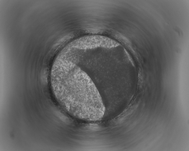 X0000112420114200909111018