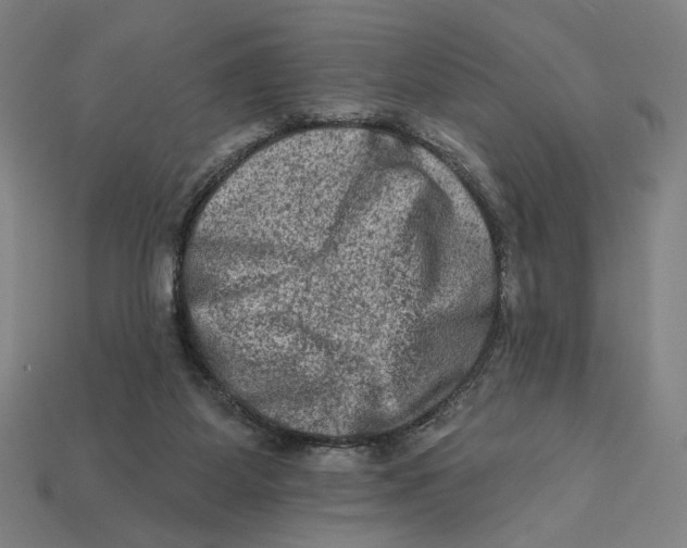 X0000112420115200909111018