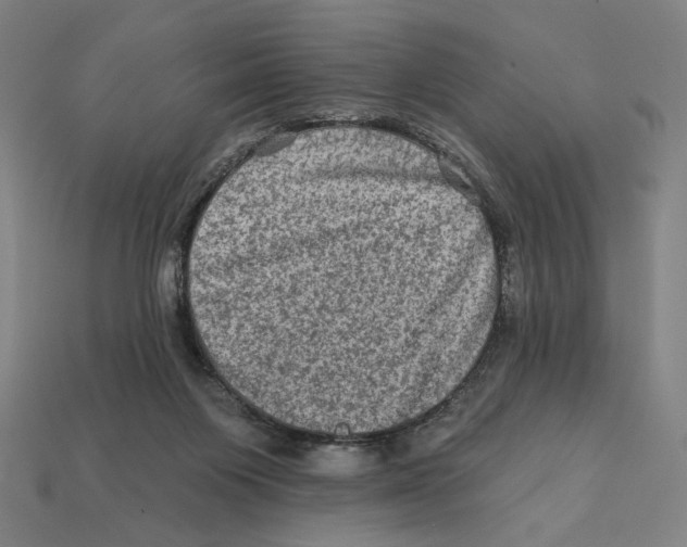 X0000112420119200909111018