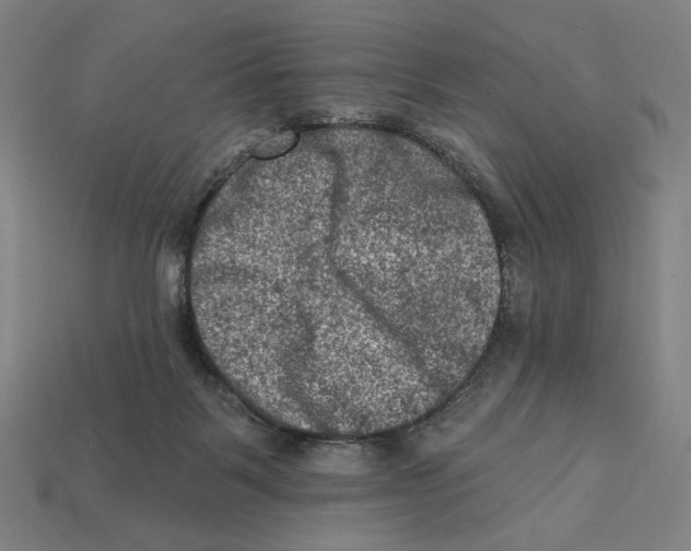 X0000112420123200909111018