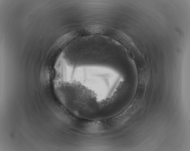 X0000112420124200909111018