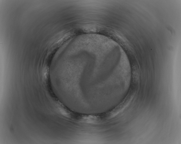 X0000112420125200909111018