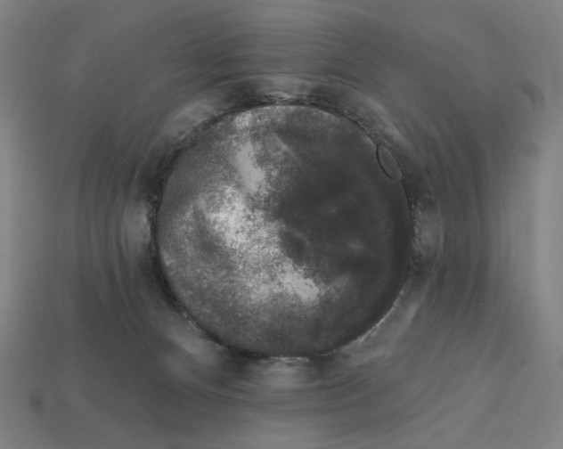 X0000112420128200909111018