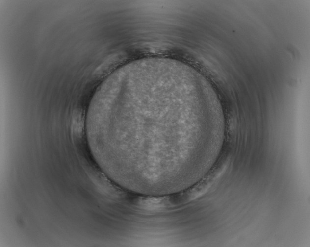 X0000112420129200909111018