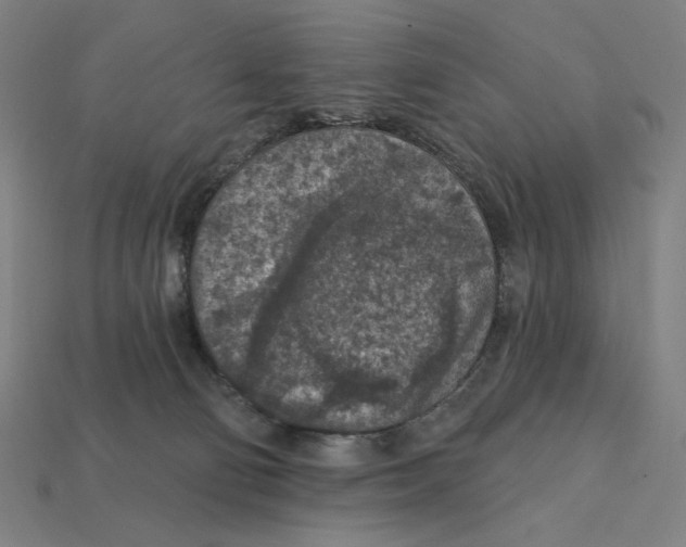 X0000112420130200909111018