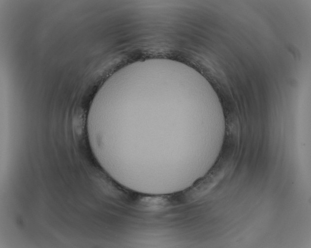 X0000112420133200909111018