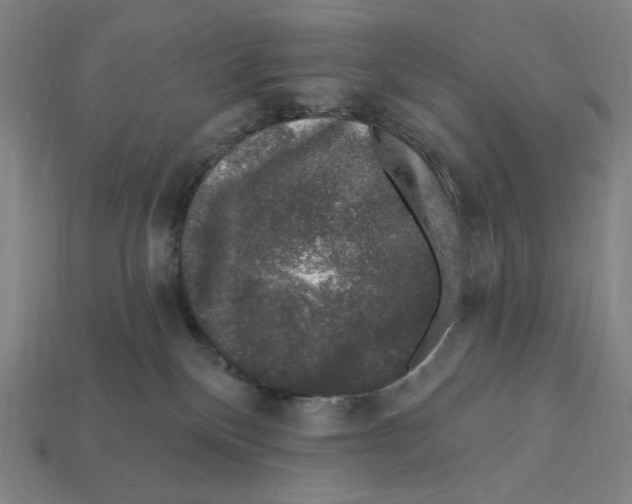 X0000112420136200909111017