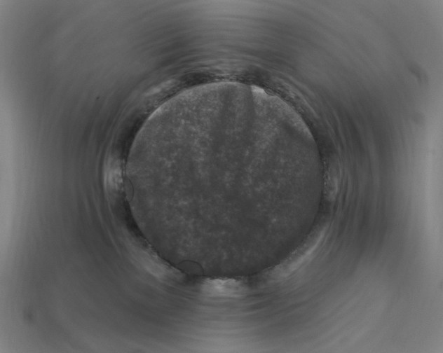 X0000112420137200909111017