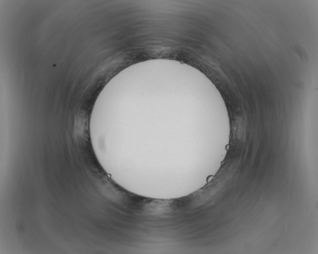 X0000112420138200909111017