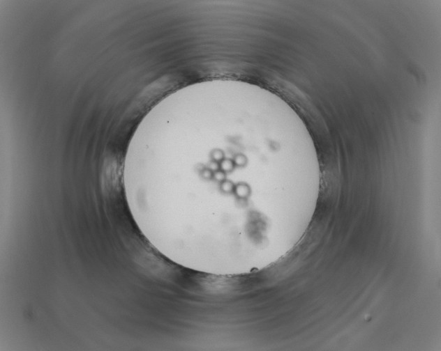 X0000112420142200909111017