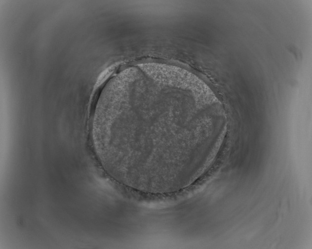 X0000112420144200909111017