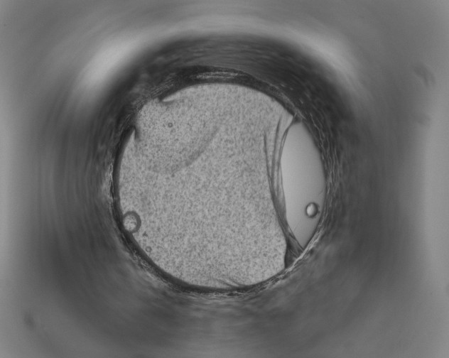 X0000112420146200909111017