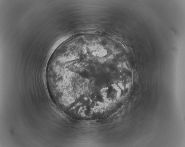 X0000112420147200909111017