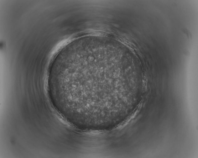 X0000112420149200909111017