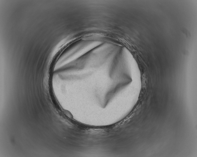 X0000112420150200909111017