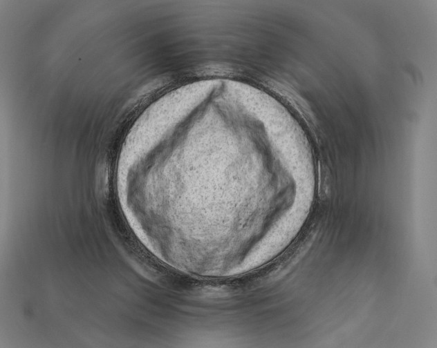 X0000112420157200909111017