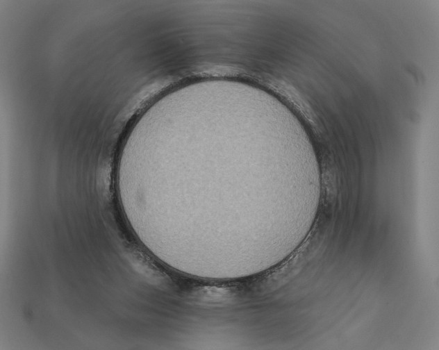 X0000112420159200909111017