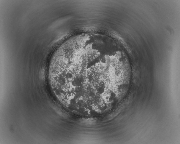 X0000112420161200909111017