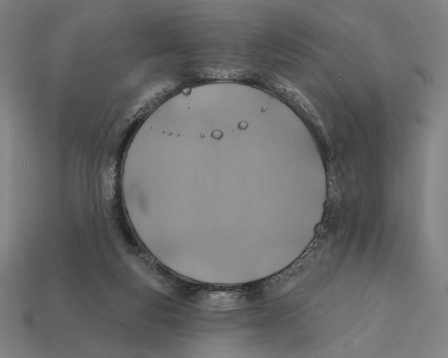 X0000112420163200909111017