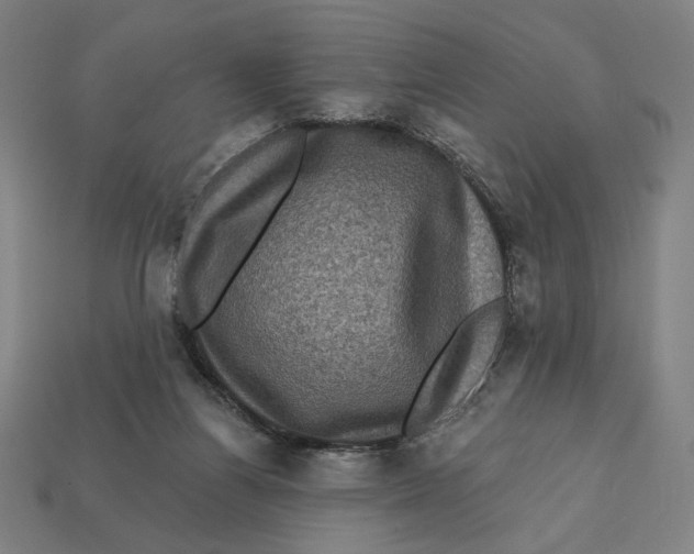 X0000112420164200909111017