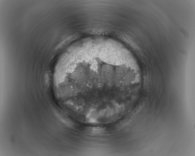 X0000112420165200909111017